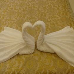 Гостиница Александрия-Внуково Внуково-17