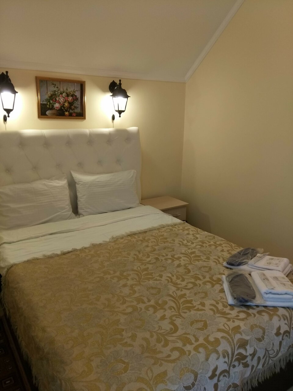 Гостиница Александрия-Внуково Внуково-96