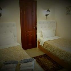 Гостиница Александрия-Внуково Внуково-129