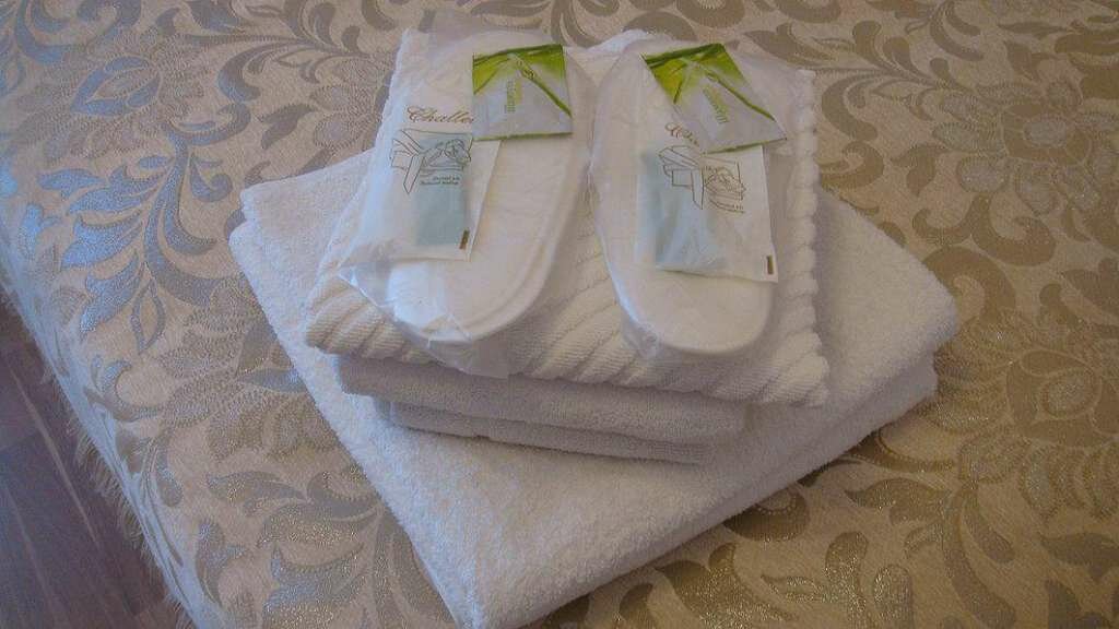 Гостиница Александрия-Внуково Внуково-83