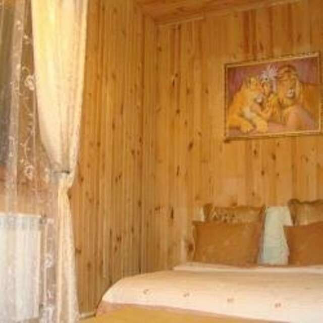 Гостиница Александрия-Внуково Внуково-207