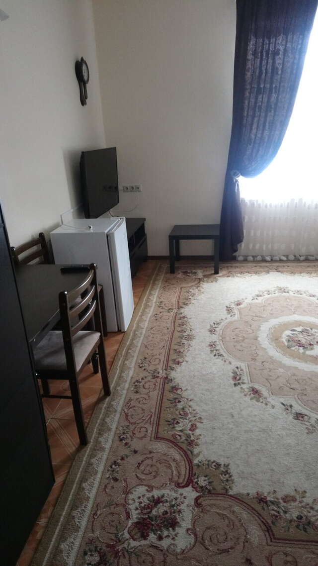 Гостиница Александрия-Внуково Внуково-100