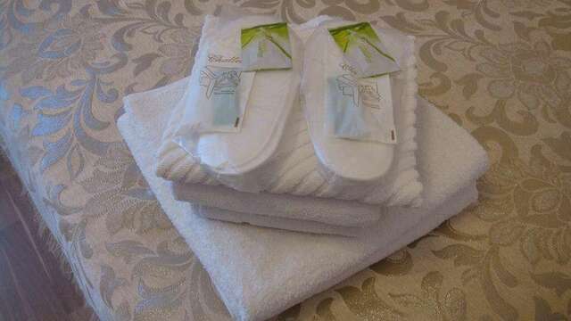 Гостиница Александрия-Внуково Внуково-82